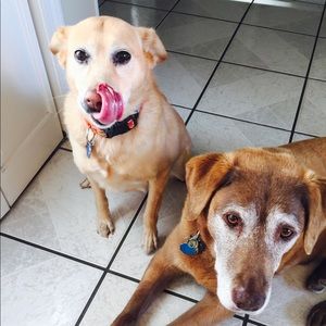 Meet your Posher, Lianna